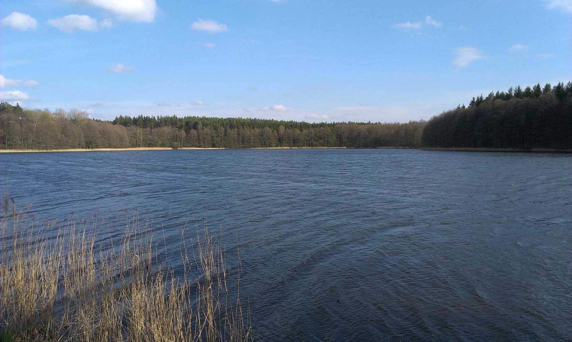 Agro-Tur Domki W Szuwarach Kuty Rum bild