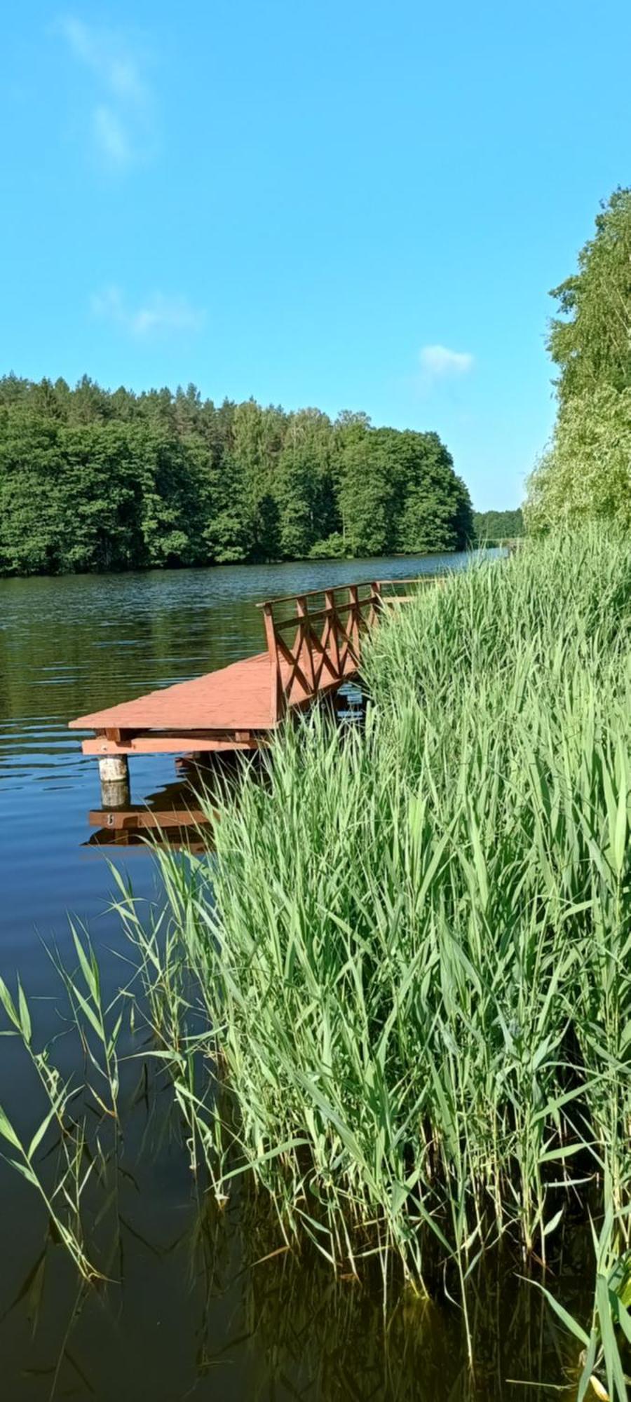 Agro-Tur Domki W Szuwarach Kuty Exteriör bild