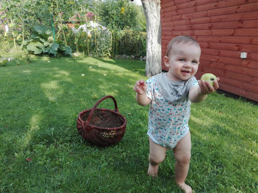 Agro-Tur Domki W Szuwarach Kuty Exteriör bild