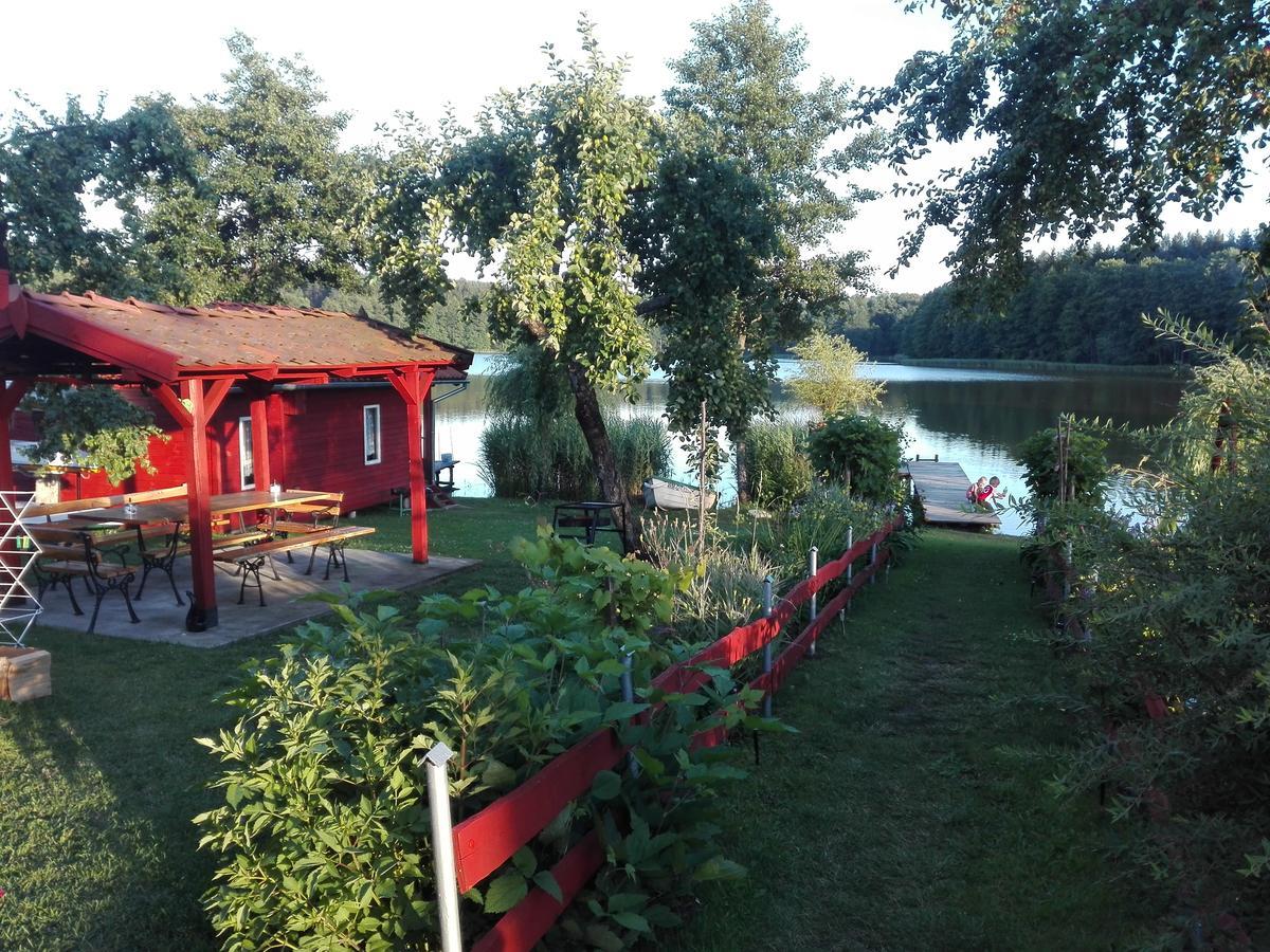 Agro-Tur Domki W Szuwarach Kuty Exteriör bild