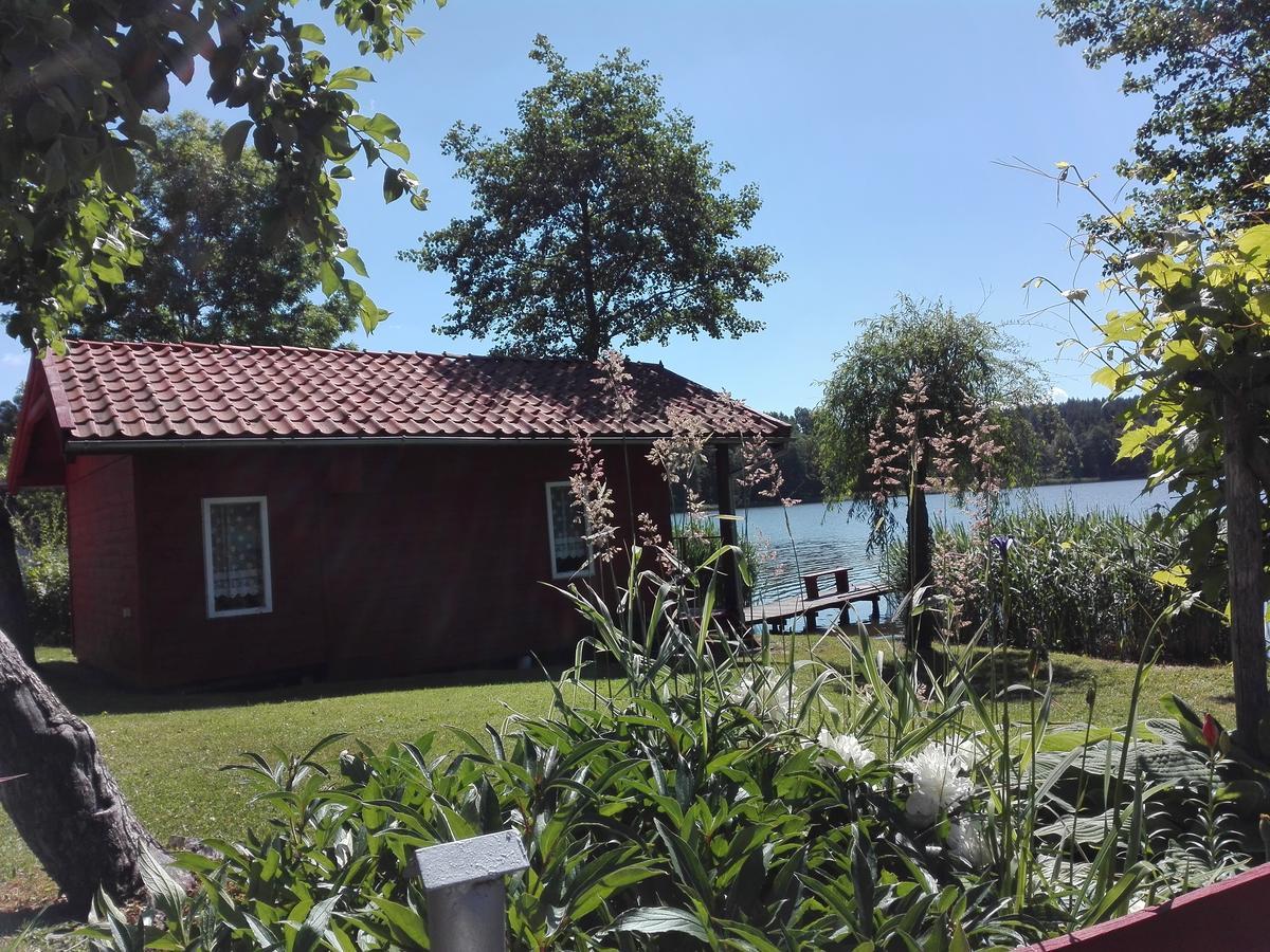 Agro-Tur Domki W Szuwarach Kuty Exteriör bild