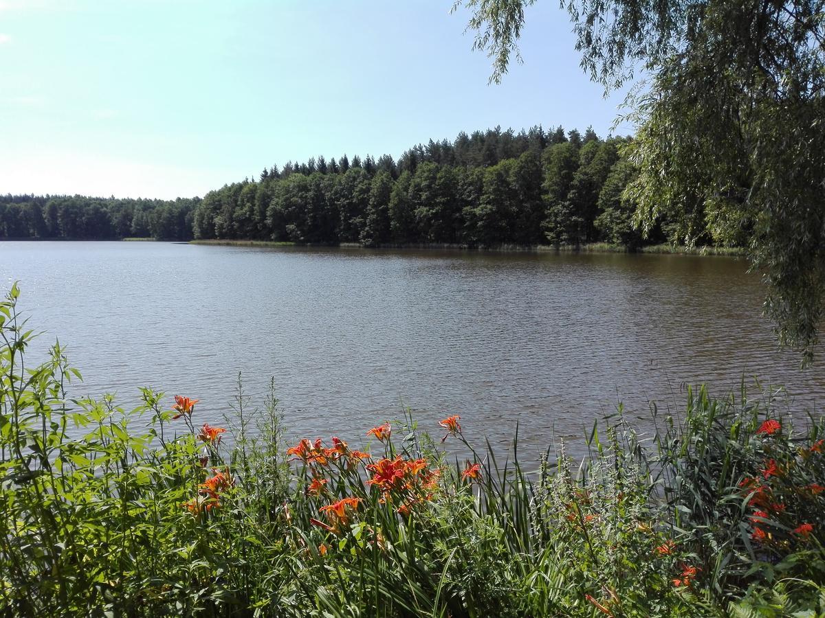 Agro-Tur Domki W Szuwarach Kuty Exteriör bild