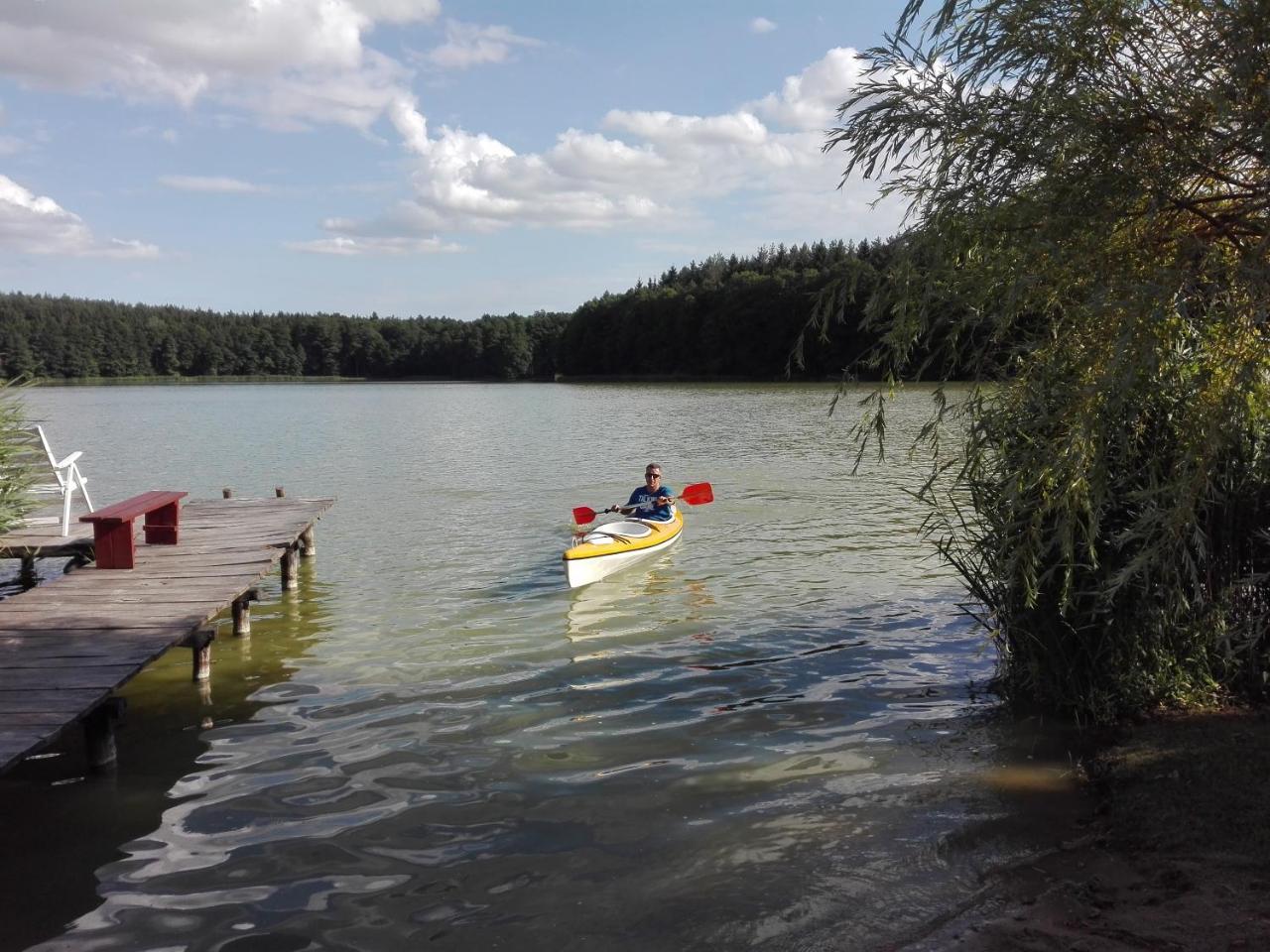 Agro-Tur Domki W Szuwarach Kuty Exteriör bild