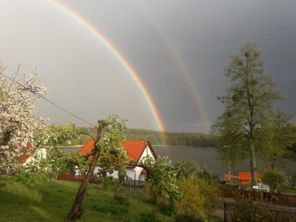 Agro-Tur Domki W Szuwarach Kuty Exteriör bild